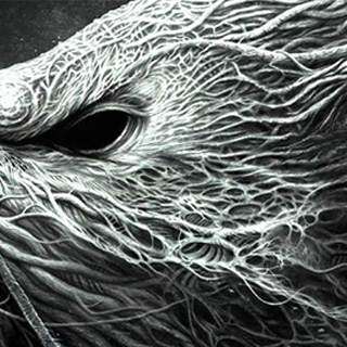 自动发卡秒发的ddos攻击测试工具