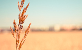 界面美观大方的cc攻击免费网页版